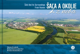Šaľa okolie neba