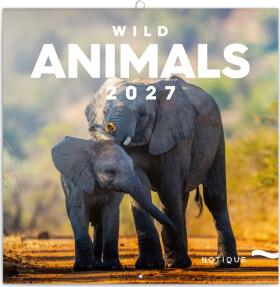 Kalendář 2027 poznámkový: Divoká zvířata, 30 x 30 cm