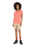 ICEBREAKER Wmns Hike Shorts, Sand velikost: 29