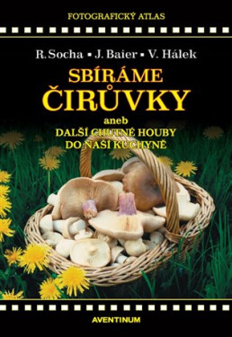 Sbíráme čirůvky a další chutné houby do naší kuchyně - Radomír Socha