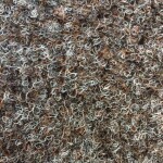 Kobercová Krytina 4m Ohio 97