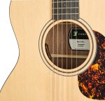 Furch Blue G-SW L.R. Baggs EAS-VTC CNR Active