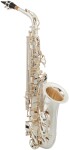 Bacio Instruments BAS-100SG