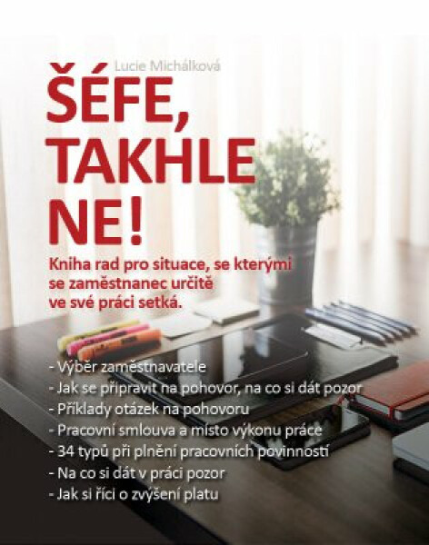 Šéfe, takhle ne! - Lucie Michálková