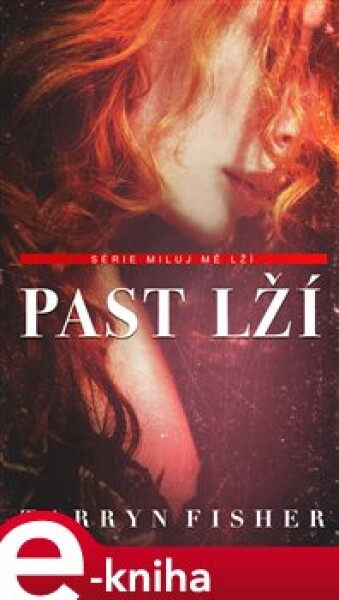 Past lží - Tarryn Fisher e-kniha