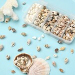 Přírodní mořské mini mušle bez dírky - sada v krabičce 50g - cca 6 ~ 18 mm - 1 balení