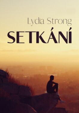 Setkání - Lydia Strong - e-kniha