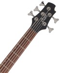 Cort Action V Plus TR