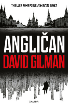Angličan - David Gilman - e-kniha