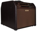 Boss Acoustic Singer Pro