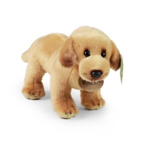 Eco-Friendly labrador stojící 18 cm
