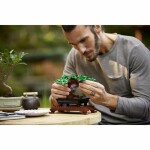 LEGO® Botanicals 10281 Bonsaj