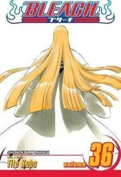 Bleach 36 (anglicky) - Noriaki Kubo