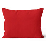 Mikroplyšový povlak na polštář 50x70 cm Červený