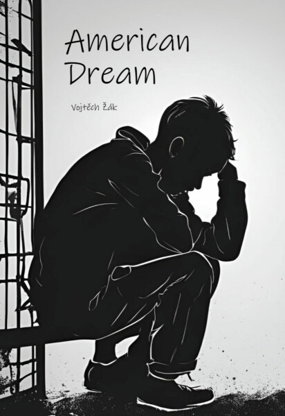 American dream - Vojtěch Žák