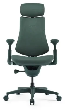 LiberNovo Omni mechově zelená / Ergonomická židle / motorická masáž / 4 polohy náklonu / nosnost 136 kg / 48 cm (CP-GW-0000015-00-02)