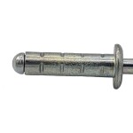 Gesipa 1433909 slepý nýt (Ø x d) 3.2 mm x 8 mm nerezová ocel nerezová ocel nerezová ocel PolyGrip® 1000 ks