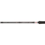 Penn Prut Legion Cat Silver Power Allround 200-400g