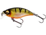 Westin Wobler BuzzBite SR Crankbait 4cm 4g Plovoucí - Firetiger,Westin Wobler BuzzBite SR Crankbait 4cm 4g Plovoucí - Firetiger