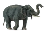 Collecta Slon asijský