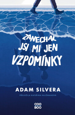 Zanechal jsi mi jen vzpomínky - Adam Silvera