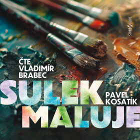 Sulek maluje - Pavel Kosatík - audiokniha