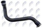 PIETRO Hadice turba RENAULT MEGANE II SCÉNIC II 1.9 dCi