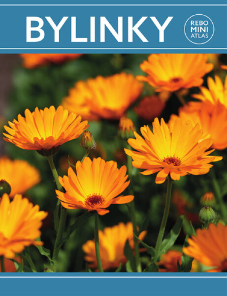 Bylinky miniatlas (slovensky)