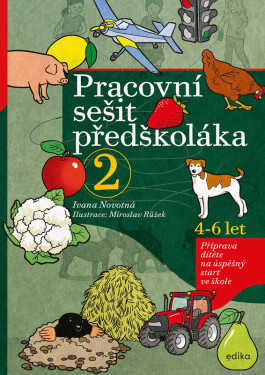 Pracovní sešit předškoláka 2, 4-6 let - Příprava dítěte na úspěšný start ve škole, 3. vydání - Ivana Novotná
