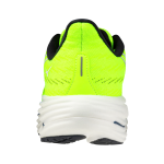 Běžecké boty Mizuno WAVE RIDER 29 J1GC250351 Velikost obuvi v EU: 47