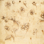 Nástěnný poznámkový kalendář 2026 NOTIQUE - Leonardo da Vinci, 30 x 30 cm