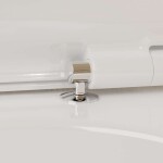 HANSGROHE - EluPura S Závěsné WC se sedátkem SoftClose, Rimless, AquaFall Flush, bílá 60292450