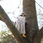 Plyšový jestřáb 23cm ECO-FRIENDLY