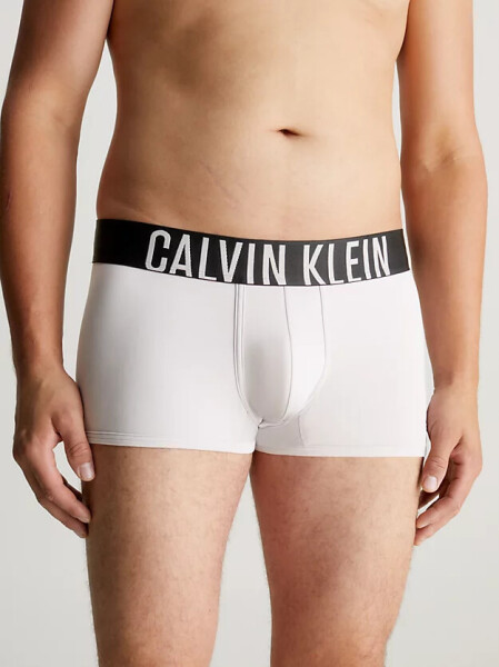 Pánské boxerky LOW RISE TRUNK 2PK Calvin Klein