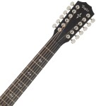 Taylor 454ce Natural