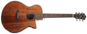 Ibanez AEG220S Natural