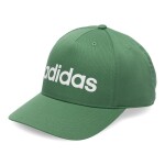 Kšiltovky adidas DAILY CAP IR7908