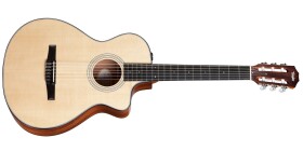 Taylor 312ce-N
