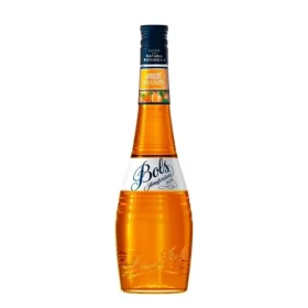 Bols Apricot Brandy 24% 0,7l (8716000965240)
