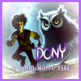 Dony v pohádkové říši - Meditace Liliana - audiokniha