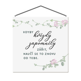 Cedulka - Hvězdy - Albi