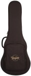 Taylor JCSM-6 Jacob Collier