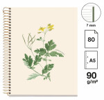 Poznámkový blok Entredos NB-1, A5, 90g, karton, 80 listů, linka - Chelindonium