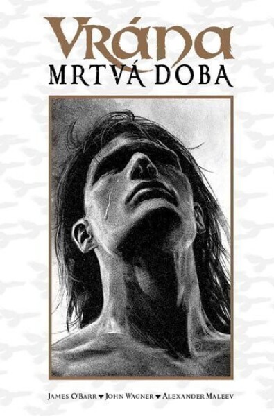 Vrána - Mrtvá doba - John Wagner