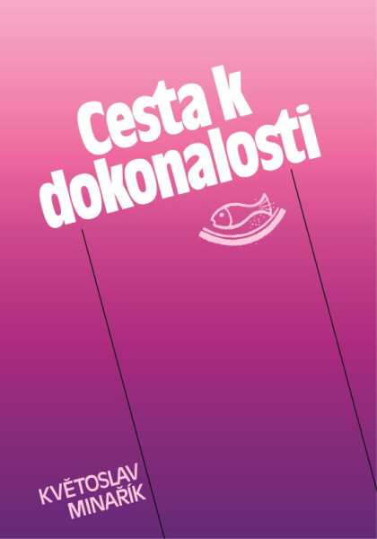 Cesta k dokonalosti - Květoslav Minařík