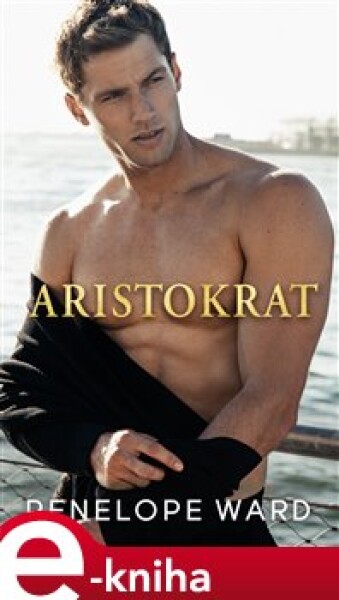 Aristokrat - Penelope Ward e-kniha