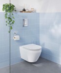 GROHE - Euro Ceramic WC sedátko, SoftClose, alpská bílá 102500SH00