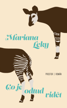 Co je odtud vidět - Mariana Leky - e-kniha