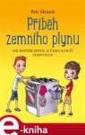 Příběh zemního plynu. Jak Honzík zjistil, k čemu slouží zemní plyn - Petr Mrázek e-kniha