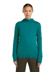 ICEBREAKER Wmns Mer 200 Realfleece Descender LS Zip H, Tidal Teal (vzorek) velikost: S